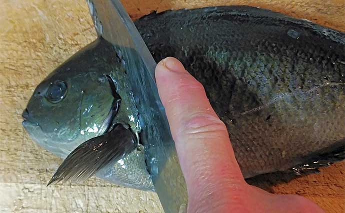 釣魚で作る「ご飯が進む」レシピ：オナガのこってり煮　濃厚なタレが決め手