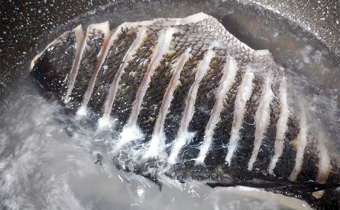 釣魚で作る「ご飯が進む」レシピ：オナガのこってり煮　濃厚なタレが決め手