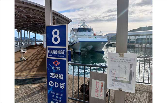 電車と船でラクラク離島エギング釣行のススメ【三重・鳥羽】堤防でアオリイカが連発