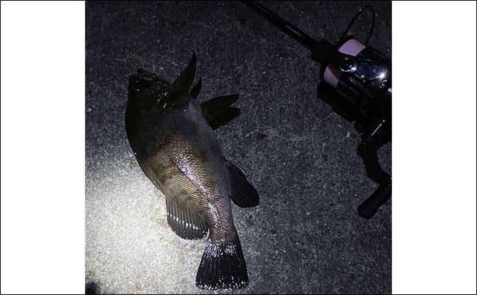 シーズン序盤のメバリング入門【水温ごとの釣り方を解説】適水温ならば表層狙いでOK