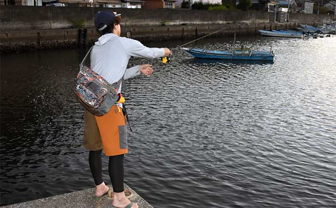 南伊勢エリアの陸っぱりライトルアー釣行で15魚種をキャッチ！【三重】