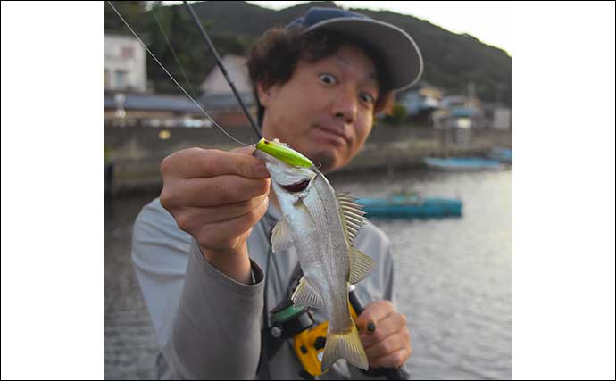 南伊勢エリアの陸っぱりライトルアー釣行で15魚種をキャッチ！【三重】