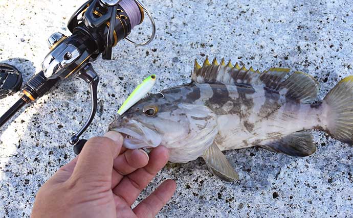 南伊勢エリアの陸っぱりライトルアー釣行で15魚種をキャッチ！【三重】