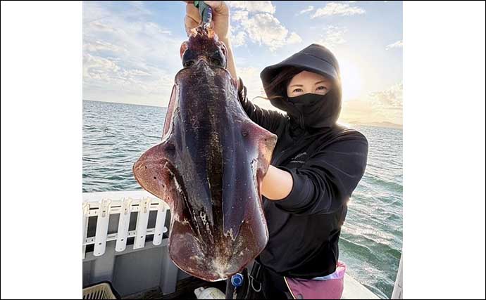 【沖のルアー釣果速報】ティップランエギングで釣る人アオリイカ14匹！（三重）