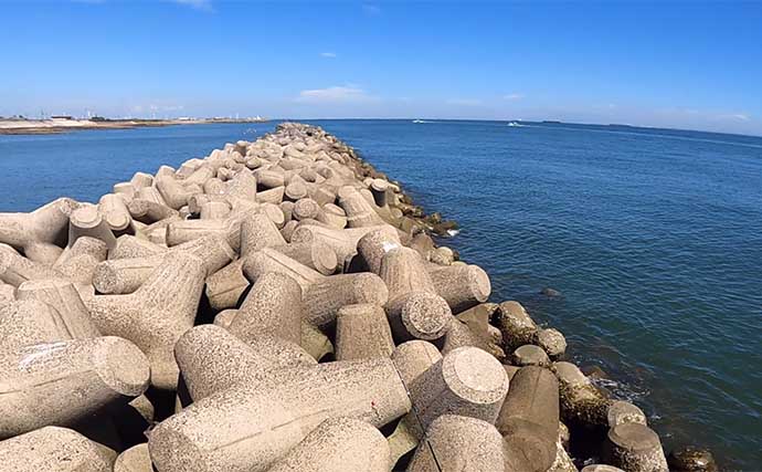 堤防穴釣りで20cm超えカサゴ16匹手中【三重・鈴鹿】サバの切り身エサに好反応