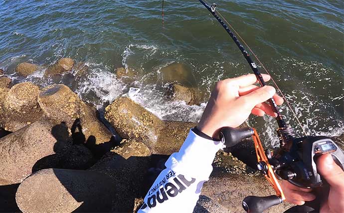 堤防穴釣りで20cm超えカサゴ16匹手中【三重・鈴鹿】サバの切り身エサに好反応