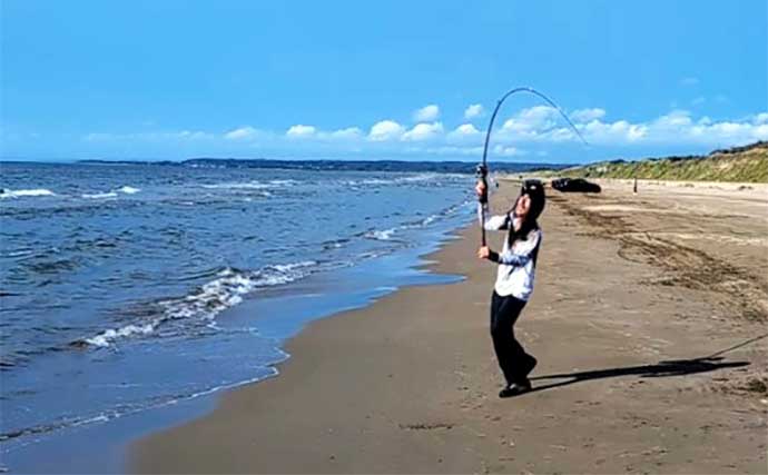 砂浜でのキス投げ釣りでシロギス100匹超えと絶好調【石川・千里浜なぎさドライブウェイ】