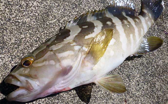 陸っぱりライトルアー聴講で本命メッキと対面【三重】ハタにヤガラに多彩ゲストも登場