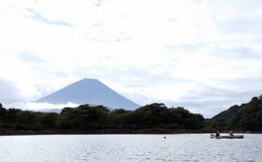 今週のヘラブナ推薦釣り場2024【山梨・精進湖】