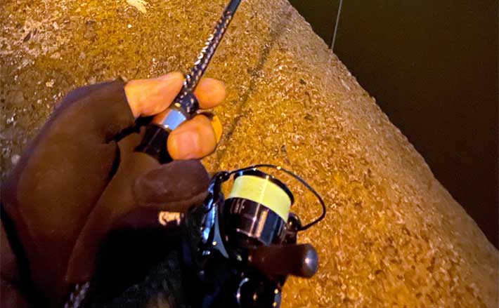 アジング　五目釣り　ロッド　海釣り　2600 202410129web01.jpg