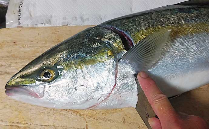 釣魚で作る「食欲の秋」レシピ：ヤズ（ワカシ）のスパイシー焼き　数種類の香辛料を使おう