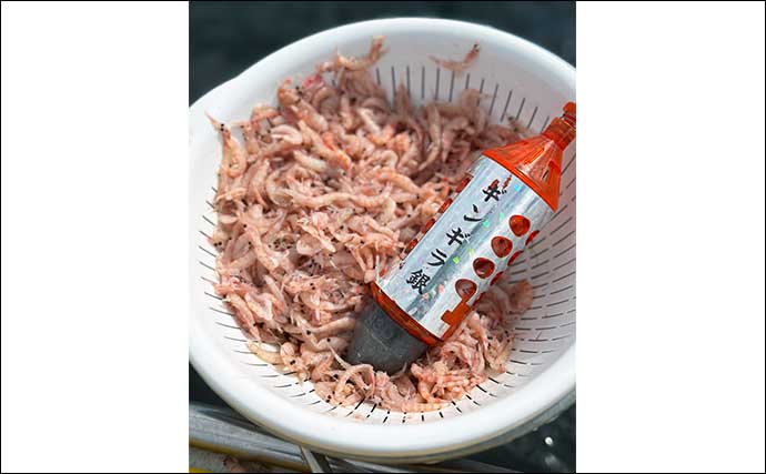 「相模湾キハダマグロ釣り絶好調で入門チャンス！」コマセ釣りで30kg級が船中9ヒット7キャッチ【神奈川・ちがさき丸】