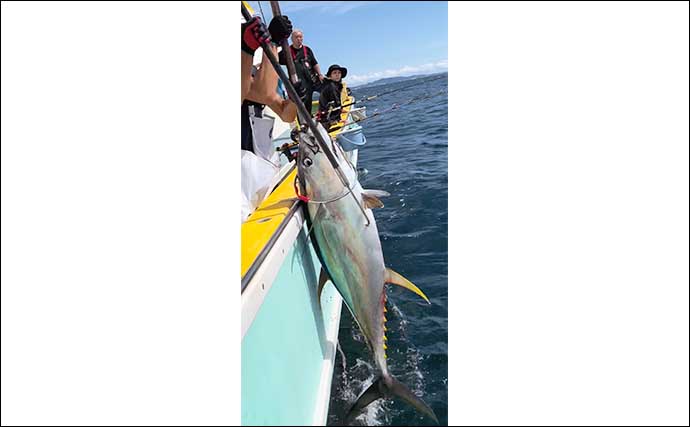 「相模湾キハダマグロ釣り絶好調で入門チャンス！」コマセ釣りで30kg級が船中9ヒット7キャッチ【神奈川・ちがさき丸】