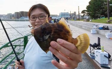 「横須賀海辺つり公園」への電車釣行でカワハギにアジをキャッチ【神奈川】