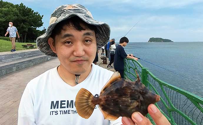 「横須賀海辺つり公園」への電車釣行でカワハギにアジをキャッチ【神奈川】