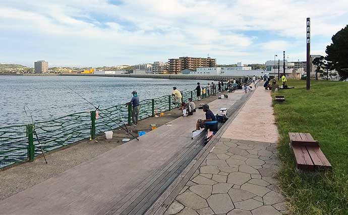 「横須賀海辺つり公園」への電車釣行でカワハギにアジをキャッチ【神奈川】