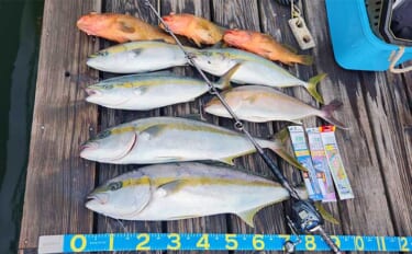 船での「落とし込み釣り」で7.2kg96cmヒラマサが堂々浮上！【佐賀…