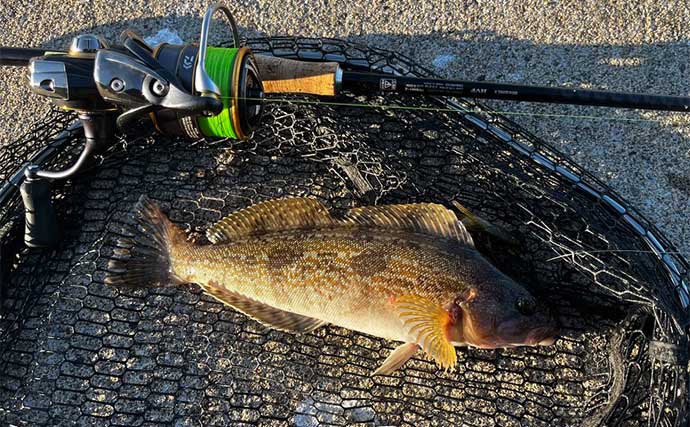 「秋の根魚釣りシーズン到来！」北海道噴火湾でのルアー釣行でアイナメ10尾キャッチ