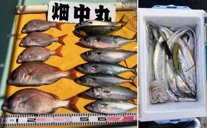 関西エリアの【船釣り特選釣果】　良型交じりにアコウとマダイ連発でクーラー満タン