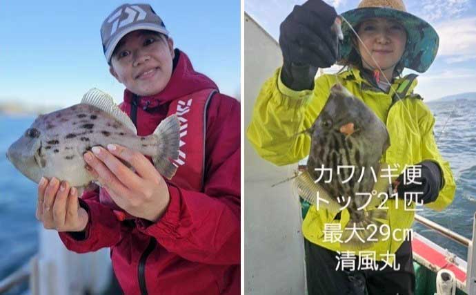 関西エリアの【船釣り特選釣果】　良型交じりにアコウとマダイ連発でクーラー満タン