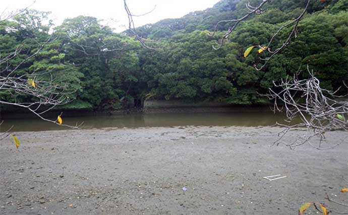 白狐川でのハゼ釣りで13cm筆頭にマハゼ32匹【千葉・富津】ちょい投げ釣りでキャッチ