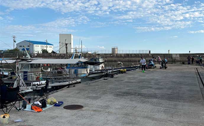 日中の堤防ライトルアー釣りでカサゴと対面【兵庫・垂水漁港】ボトムワインドに反応