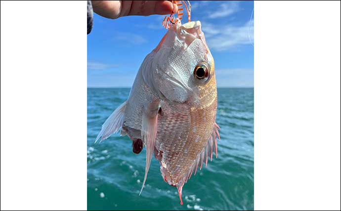 三角沖タイラバ釣行で60cm級真鯛をキャッチ【熊本・涼結丸】サメの横取り被害も