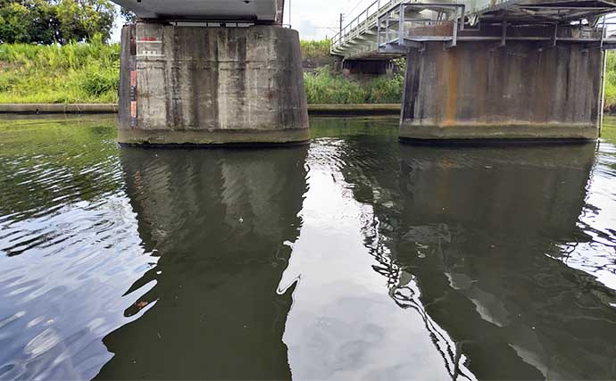 シーバスが【釣れる河川と釣れない河川の違い】　特徴をまとめて解説