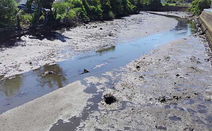 シーバスが【釣れる河川と釣れない河川の違い】　特徴をまとめて解説