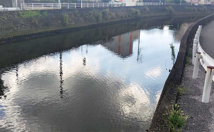 シーバスが【釣れる河川と釣れない河川の違い】　特徴をまとめて解説