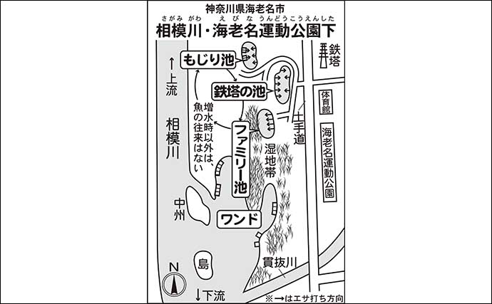 今週のヘラブナ推薦釣り場2024【神奈川・海老名運動公園下】