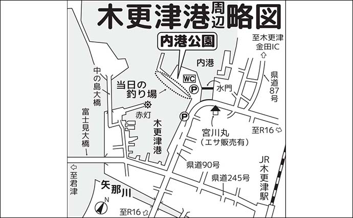 木更津港のサビキ釣りで10cm級マアジ9匹を手中【千葉】時合いは想定外の朝6時過ぎ