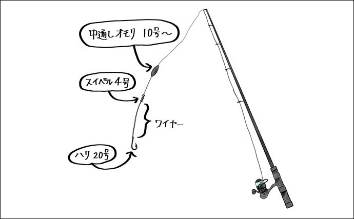 「初心者でも大物を釣りたい！」サメ狙いぶっこみ釣りのススメ【タックル・仕掛け・釣り方・注意点を解説】