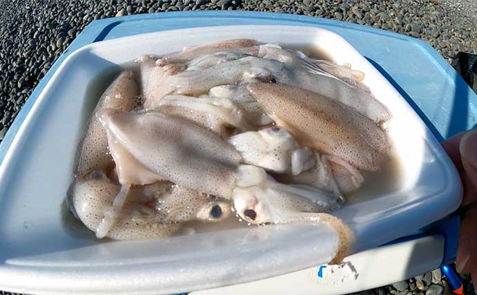 「初心者でも大物を釣りたい！」サメ狙いぶっこみ釣りのススメ【タックル・仕掛け・釣り方・注意点を解説】