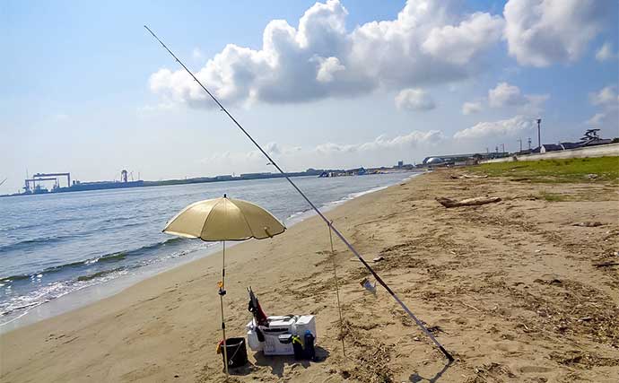 阿漕浦海岸の投げキス釣りで良型キス78匹キャッチ【三重・津】落ちギスシーズンも期待大