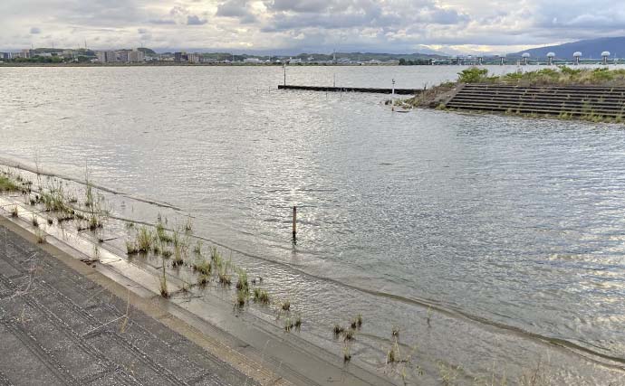 長良川河口のハゼクラ釣行で17cmマハゼと対面【三重】エサ釣りとは異なる釣趣を満喫