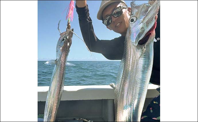 天竜沖での天秤タチウオ釣りで45匹キャッチ　平均サイズが指4〜6本級と良型率高し！