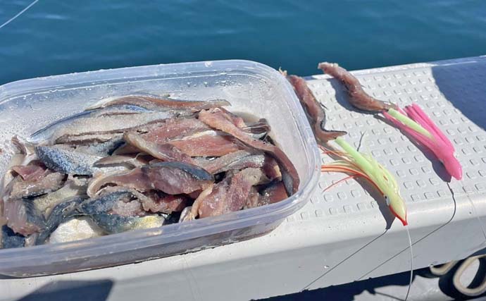 天竜沖での天秤タチウオ釣りで45匹キャッチ　平均サイズが指4〜6本級と良型率高し！