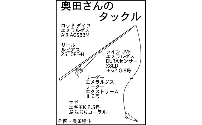 高浜漁港でのエギング釣行で300gアオリイカと対面【福井】2.5号エギに新子が好反応