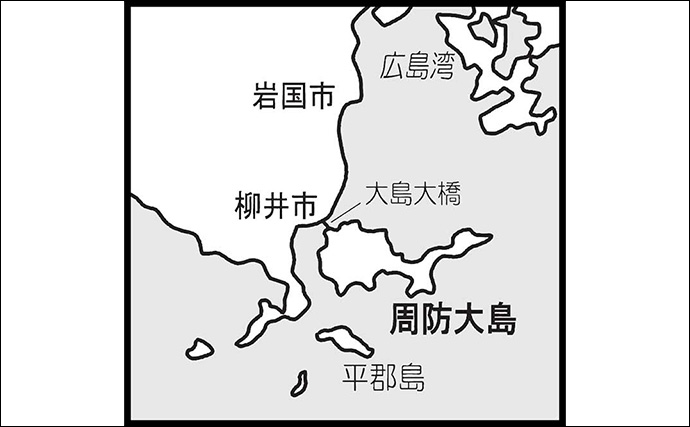 周防大島でのエギング釣行で秋イカ21尾をキャッチ【山口】サイズは胴長15～18cm