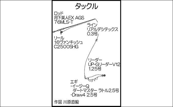 周防大島でのエギング釣行で秋イカ21尾をキャッチ【山口】サイズは胴長15～18cm