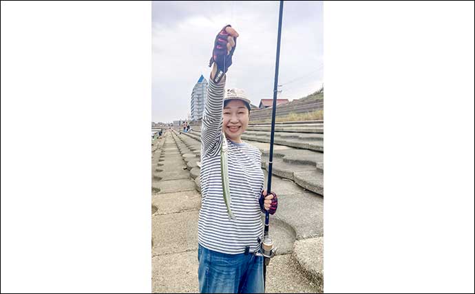 大野海岸で30cm超え筆頭にサヨリ7匹をキャッチ【愛知】ゲストにイワシやセイゴ