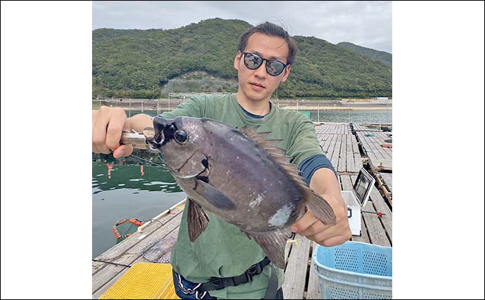 海上釣り堀でレア魚の『ヤンバルスギ』をキャッチ【三重・正徳丸】シマアジやイシダイも登場