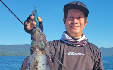 エギスタ鹿児島大会前の下見釣行【長島】秋イカ狙いのエギングでアオリイカ…