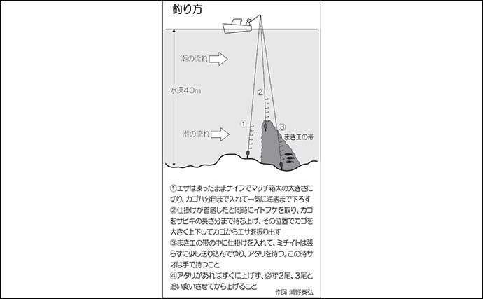 船サビキ釣りで良型アジとサバが続々ヒット【福岡・姫島沖】クーラー満タンで早上がり