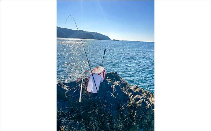 阿曽浦の磯フカセ釣りで37cmを筆頭にグレが連発【三重】秋磯シーズン本格化