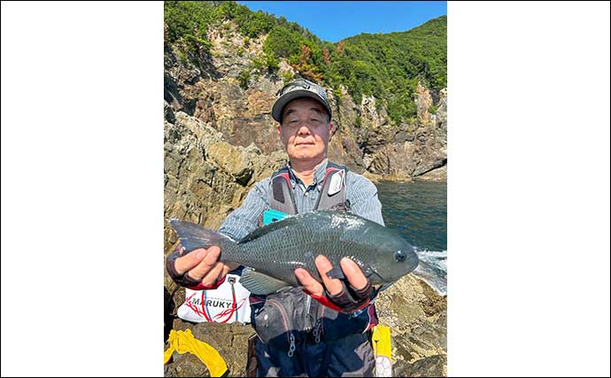 阿曽浦の磯フカセ釣りで37cmを筆頭にグレが連発【三重】秋磯シーズン本格化