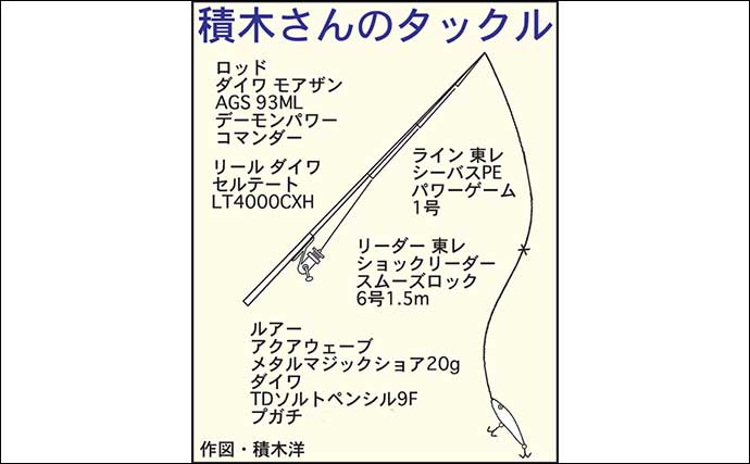 伊勢湾のサーフルアー釣行でシーバス乱舞【三重】ナブラをトップウォータープラグで狙い撃ち