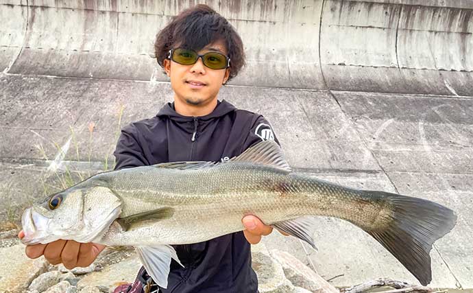 伊勢湾のサーフルアー釣行でシーバス乱舞【三重】ナブラをトップウォータープラグで狙い撃ち