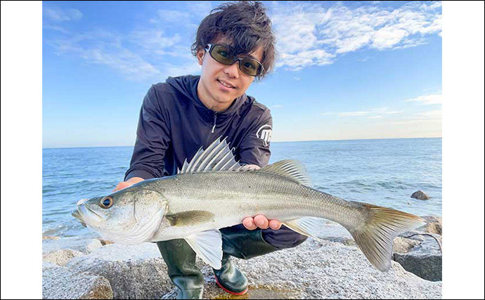 伊勢湾のサーフルアー釣行でシーバス乱舞【三重】ナブラをトップウォータープラグで狙い撃ち